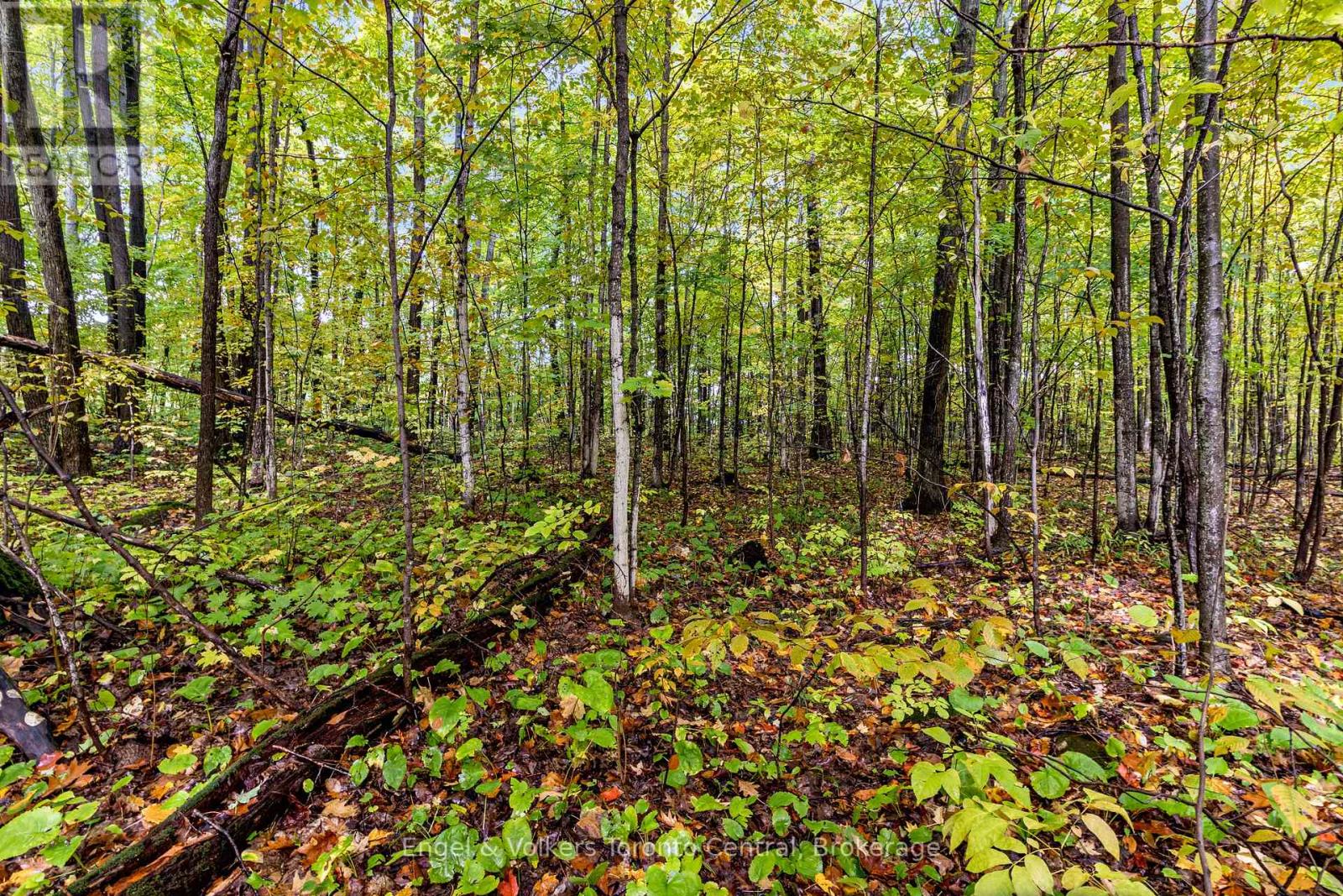 Lot 5 Voyageur Drive, Tiny, Ontario  L9M 1R2 - Photo 15 - S12004853