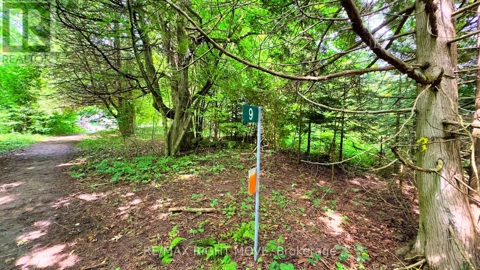 9 Beach Road, Oro-Medonte, Ontario  L3V 0R9 - Photo 3 - S12005044