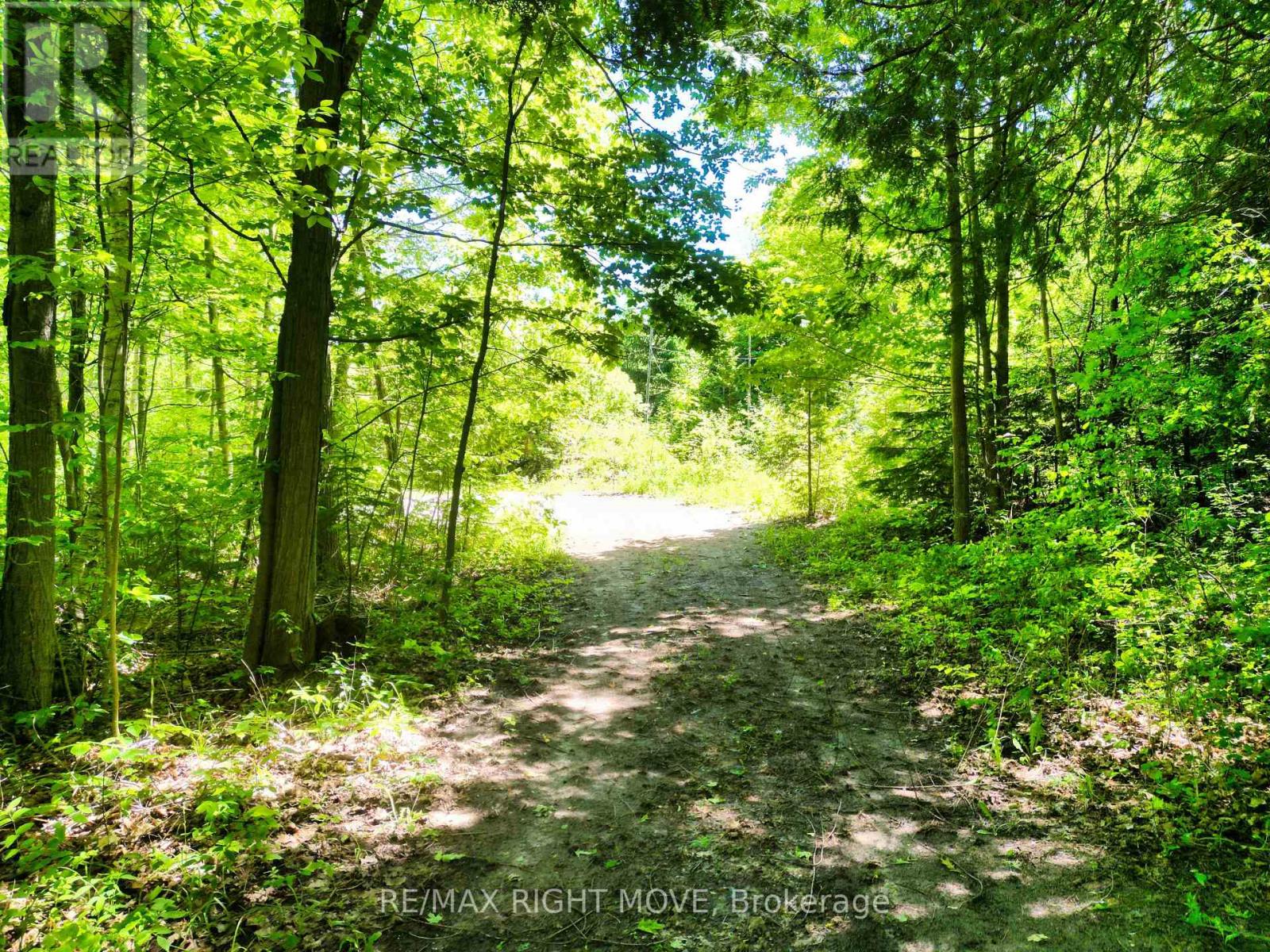 9 Beach Road, Oro-Medonte, Ontario  L3V 0R9 - Photo 4 - S12005044