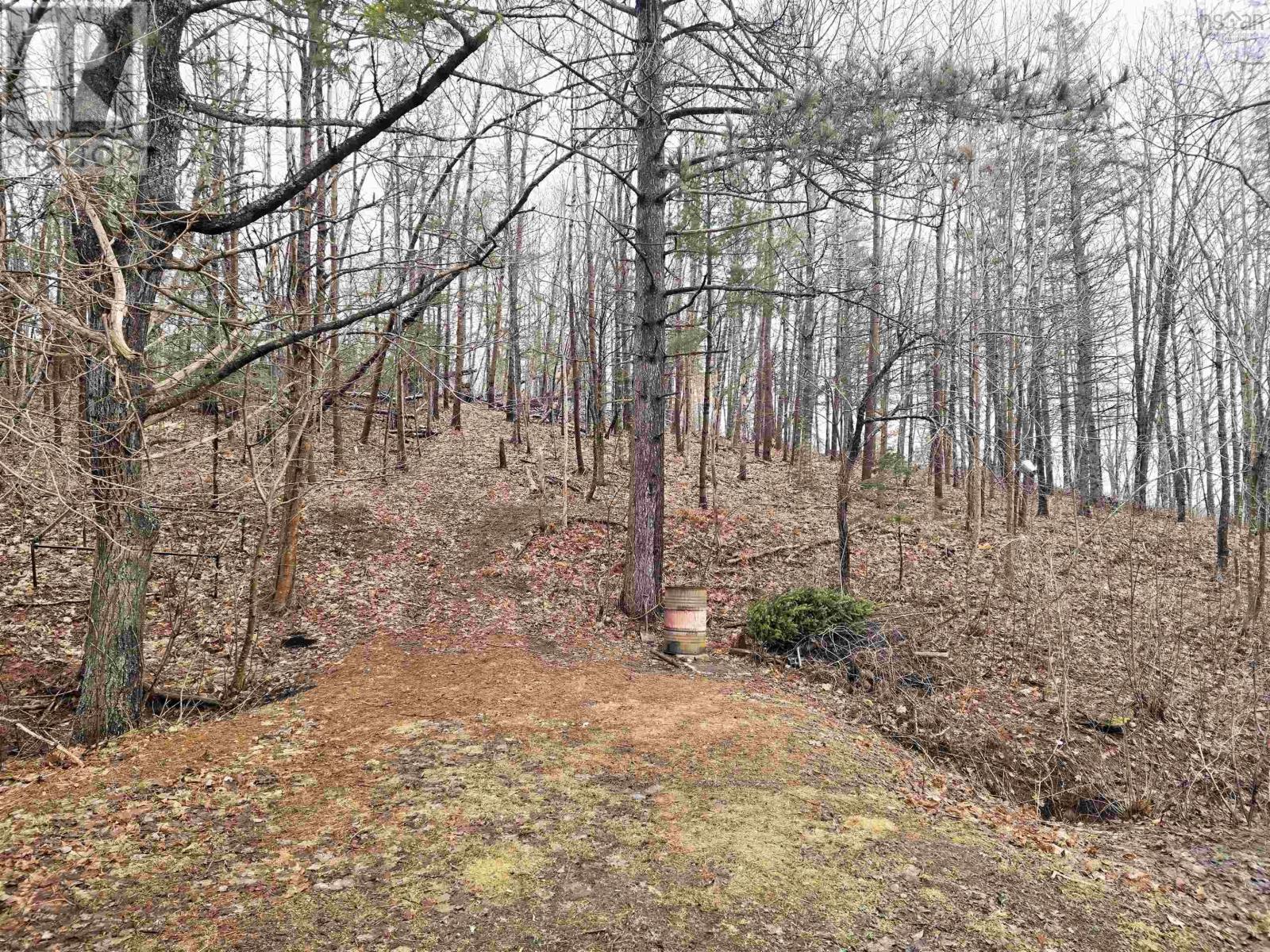 5160 Stellarton Trafalgar Road, Eureka, Nova Scotia  B0K 1B0 - Photo 28 - 202504324