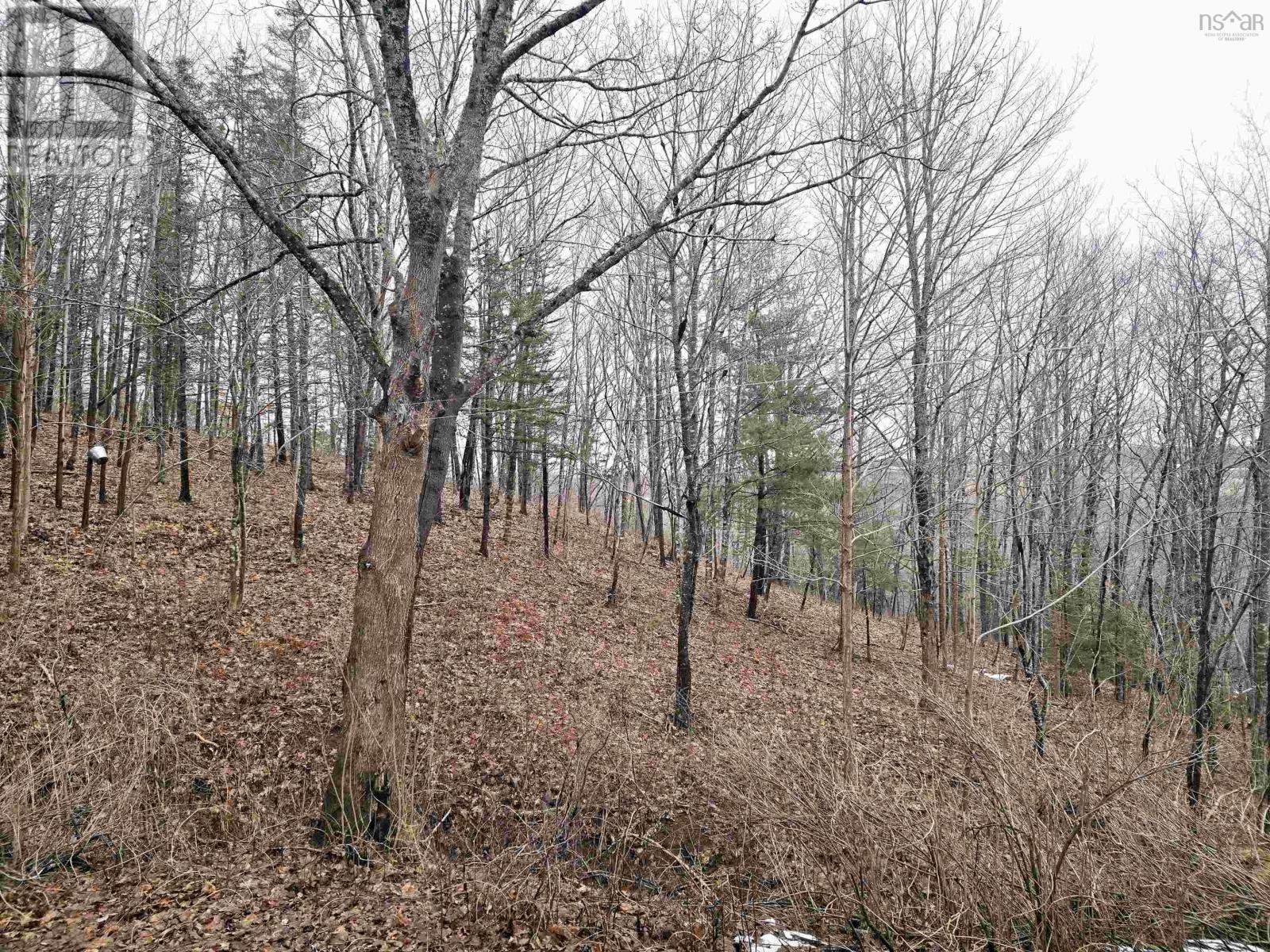 5160 Stellarton Trafalgar Road, Eureka, Nova Scotia  B0K 1B0 - Photo 29 - 202504324