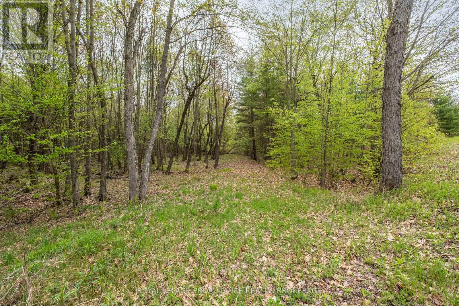 Lt 16 Warrington Lane, Central Frontenac, Ontario  K0H 2P0 - Photo 5 - X11999741