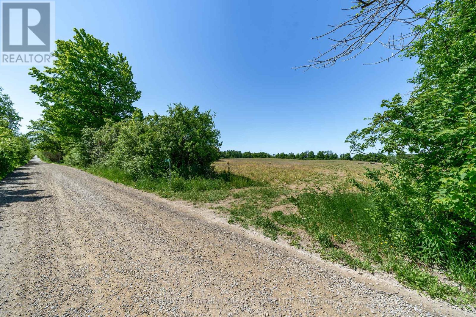383 Chase Road, Prince Edward County, Ontario  K0K 2J0 - Photo 8 - X12005144