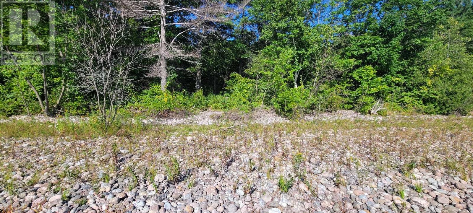 16 Giant's Tomb Island, Tiny, Ontario  L9M 1R2 - Photo 10 - S12005210
