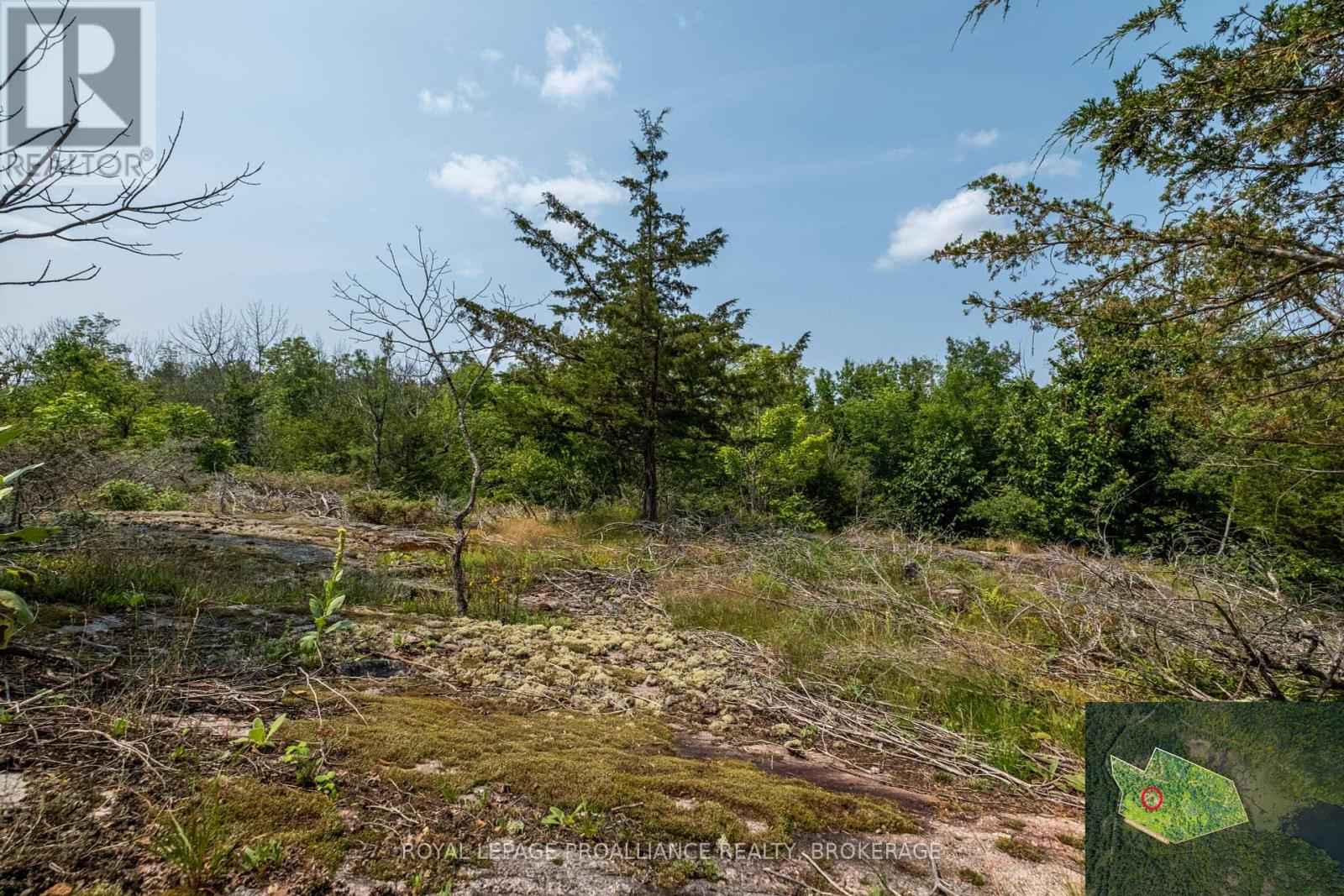 Lot 11 Ritz Road, Rideau Lakes, Ontario  K0G 1E0 - Photo 15 - X11928845