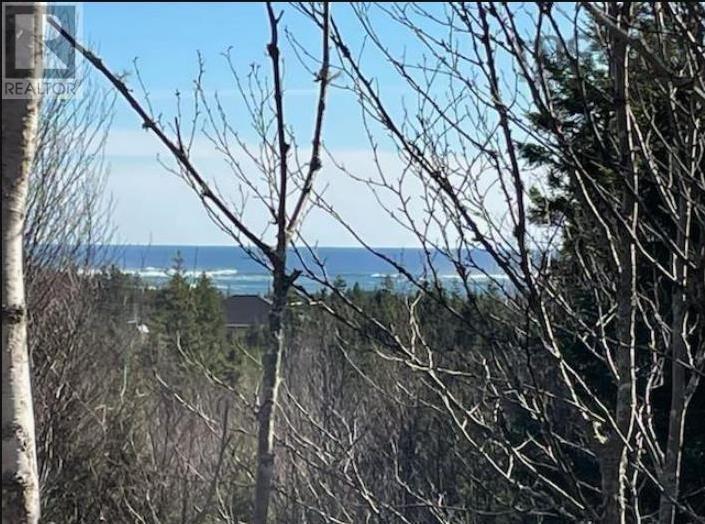 Lot B1-4 Saddle Island Road, Bayswater, Nova Scotia  B0J 1T0 - Photo 2 - 202504332