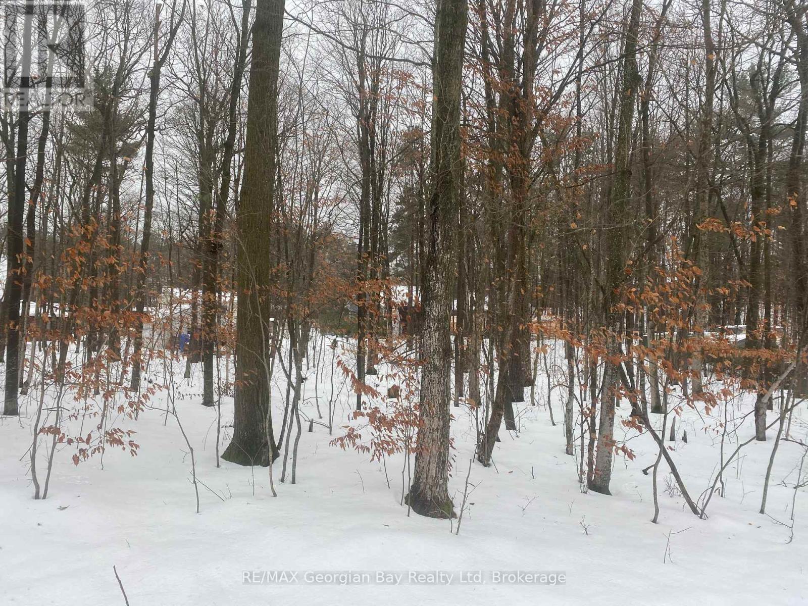 LOT 558 FOREST CIRCLE, Tiny, Ontario