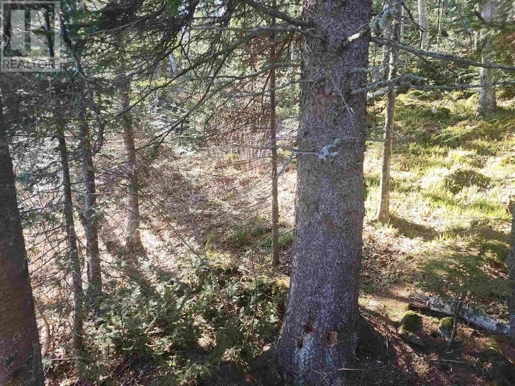 406 Cedar Ln, Nicol Island, Rossport, Ontario  P0T 2C0 - Photo 25 - TB250376