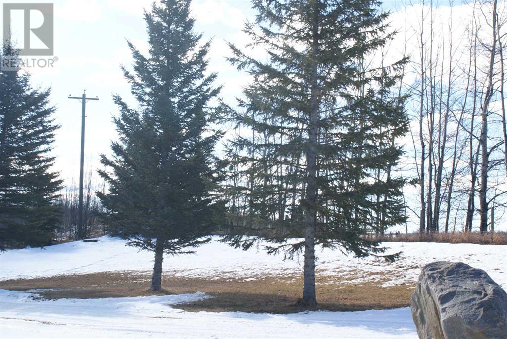 390009 Rr 8-4, Rocky Mountain House, Alberta  T0M 0C0 - Photo 34 - A2199718