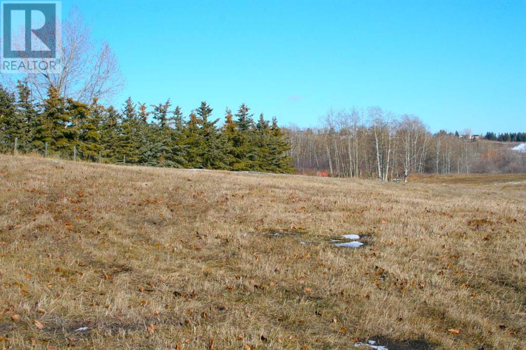 322106 8 Street E, Rural Foothills County, Alberta  T1S 1A2 - Photo 4 - A2199971