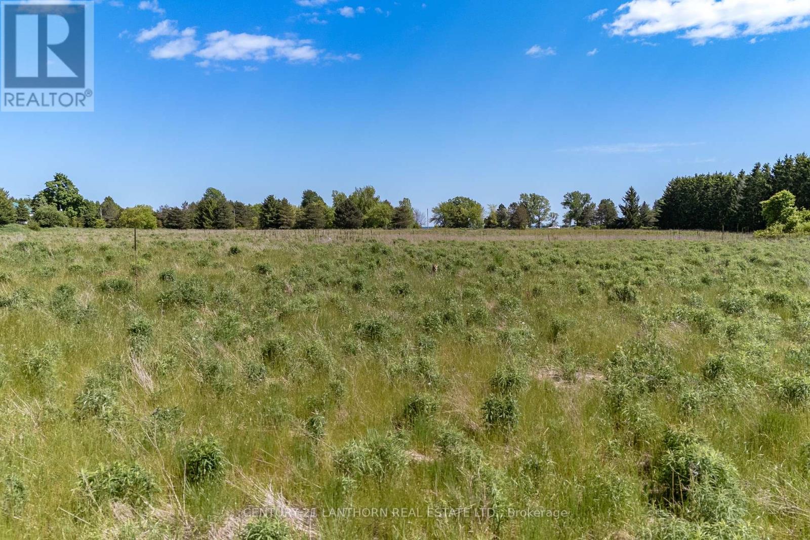 4757 County Road 8, Prince Edward County (North Marysburg Ward), Ontario  K0K 2T0 - Photo 10 - X12005892