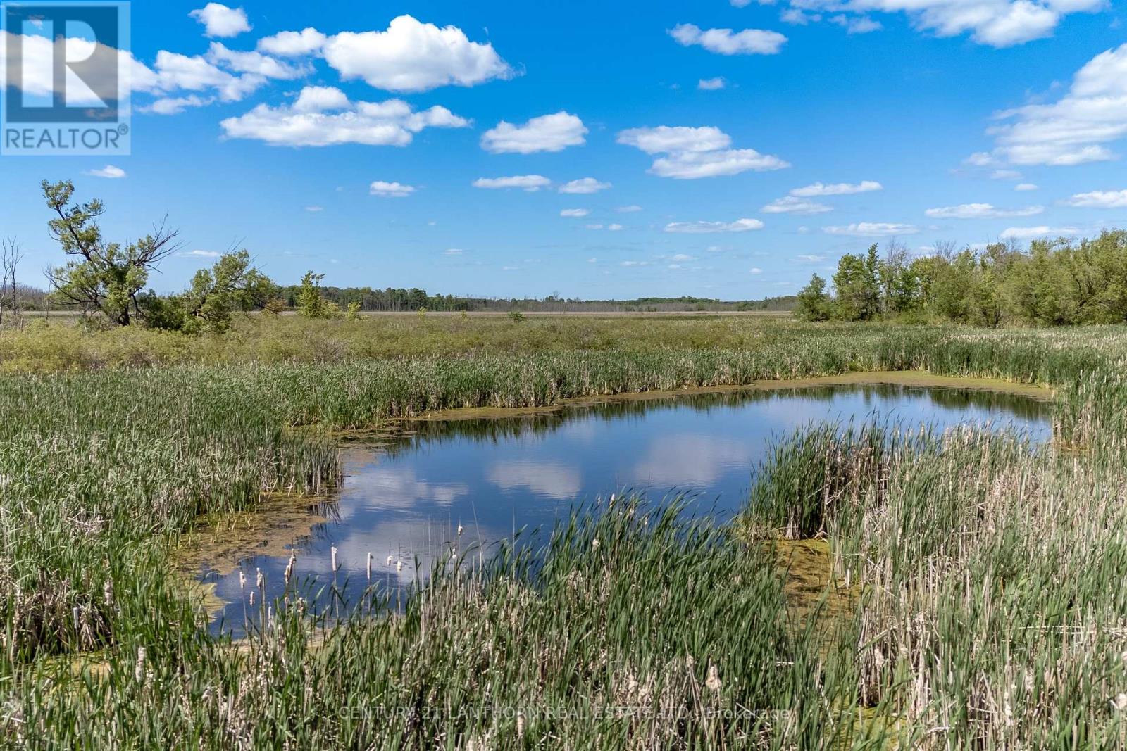 4757 County Road 8, Prince Edward County (North Marysburg Ward), Ontario  K0K 2T0 - Photo 16 - X12005892