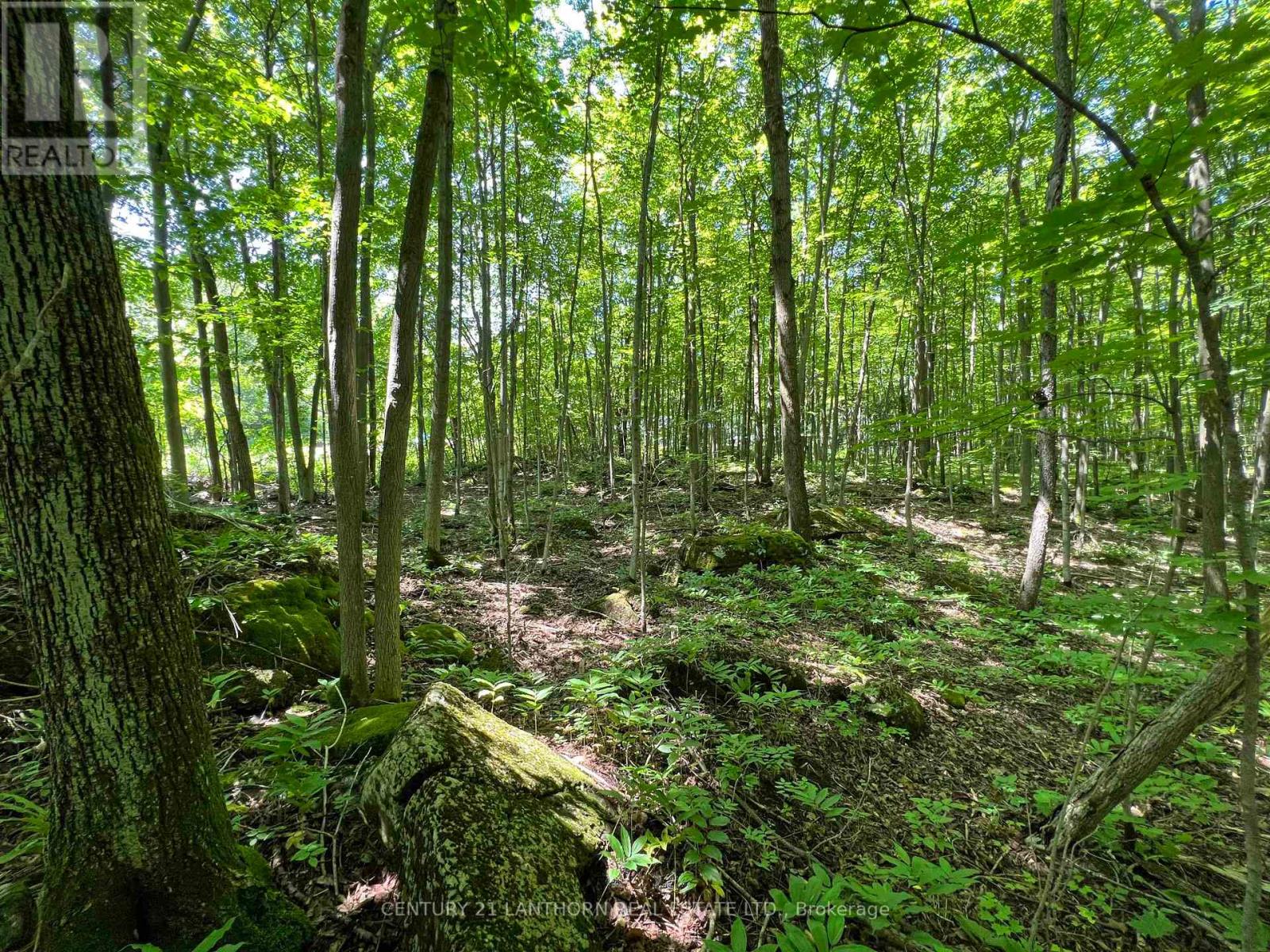 0 Luffman Road, Tweed, Ontario  K0K 2L0 - Photo 7 - X11951377