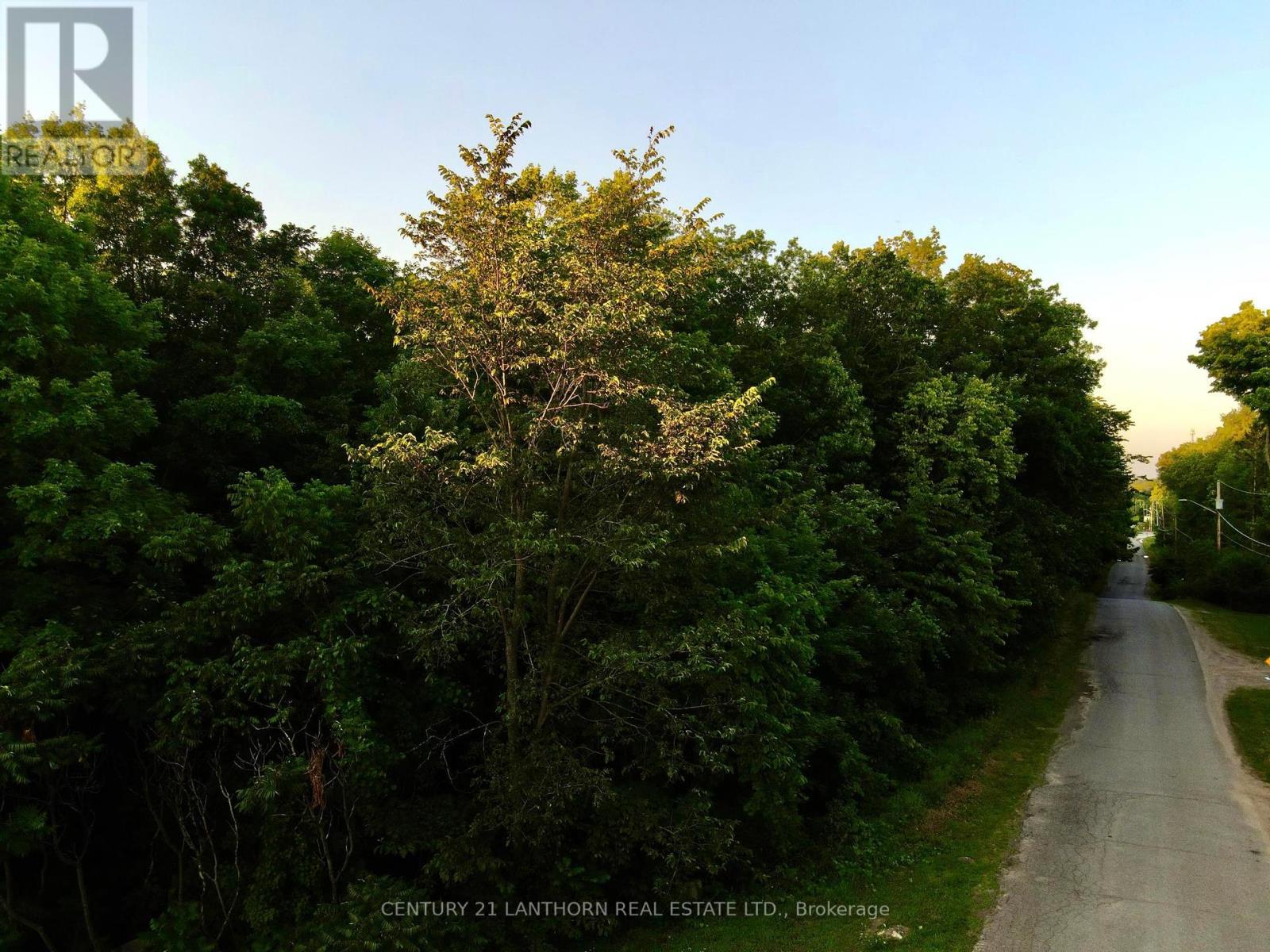 0 Luffman Road, Tweed, Ontario  K0K 2L0 - Photo 8 - X11951377