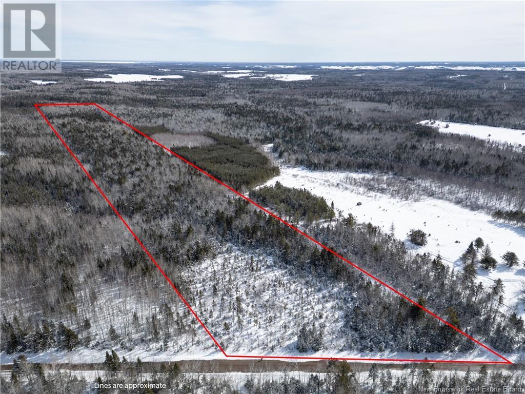 Lot Saint-Maurice Road, Sainte-Marie-De-Kent, New Brunswick  E4S 2L2 - Photo 3 - NB113427