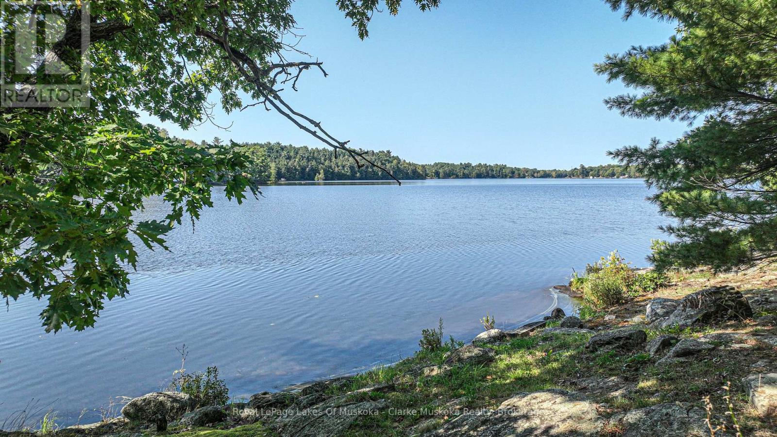 2910 Maclean Lk N S Rd Road, Severn, Ontario  L0K 1E0 - Photo 21 - S12006163