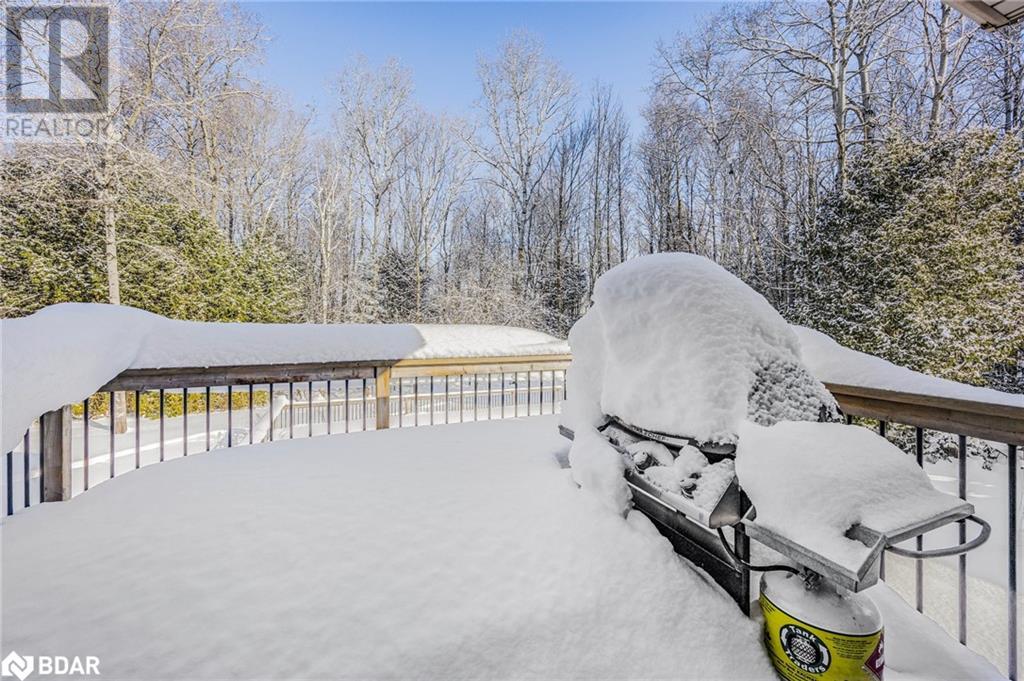 11 Maple Court, Oro-Medonte, Ontario  L0K 1E0 - Photo 39 - 40704025