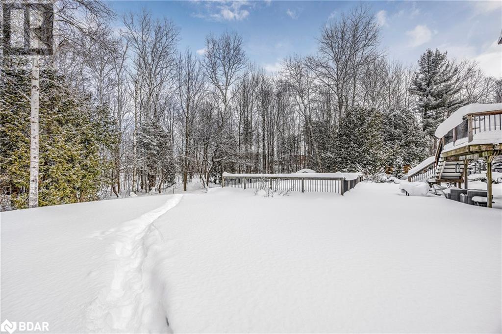 11 Maple Court, Oro-Medonte, Ontario  L0K 1E0 - Photo 41 - 40704025