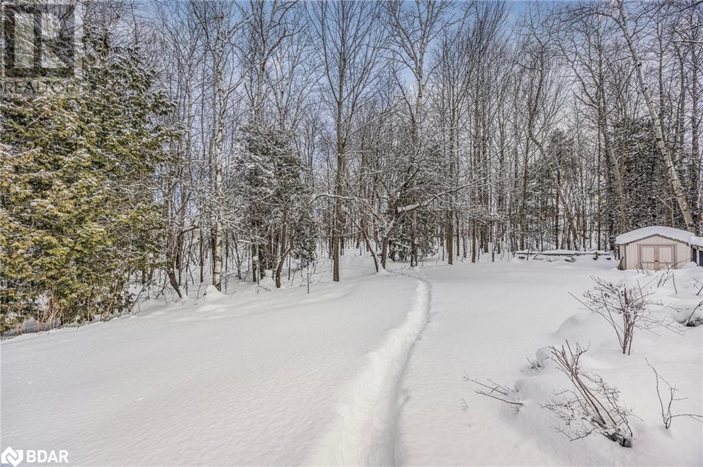 11 Maple Court, Oro-Medonte, Ontario  L0K 1E0 - Photo 44 - 40704025