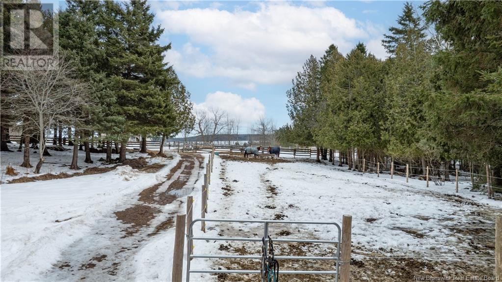 301 Darlings Island Road, Darlings Island, New Brunswick  E5N 6S4 - Photo 41 - NB113086