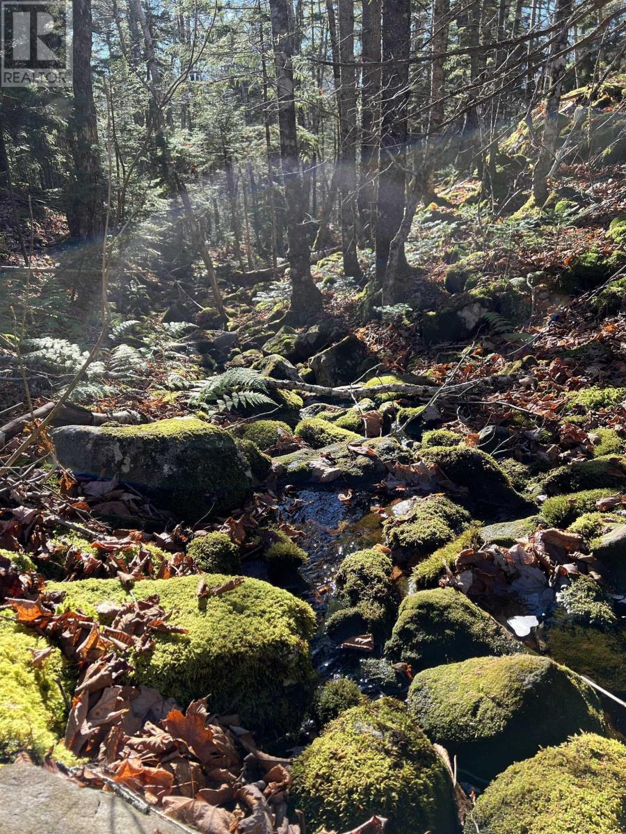 1269 Hampton Mountain Road, Hampton, Nova Scotia  B0S 1L0 - Photo 25 - 202504374