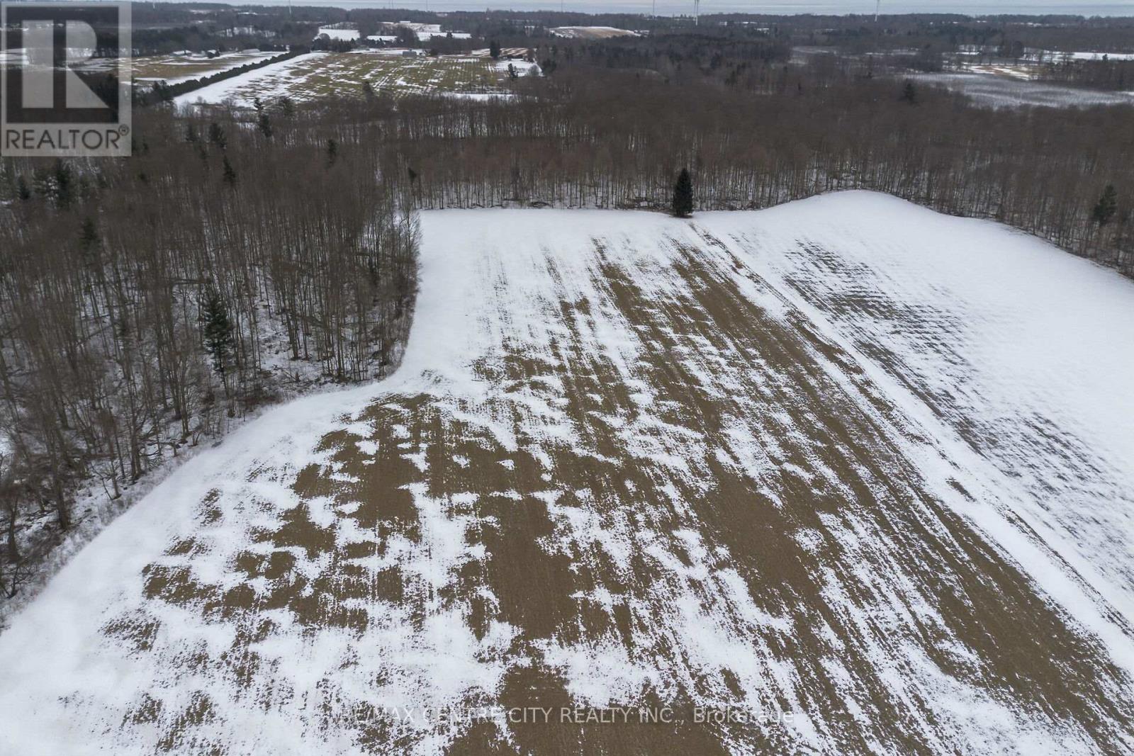 56813 Light Line, Bayham, Ontario  N0Z 1J0 - Photo 10 - X12006518