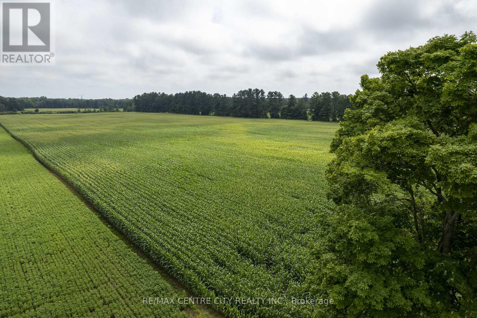 56813 Light Line, Bayham, Ontario  N0Z 1J0 - Photo 20 - X12006518