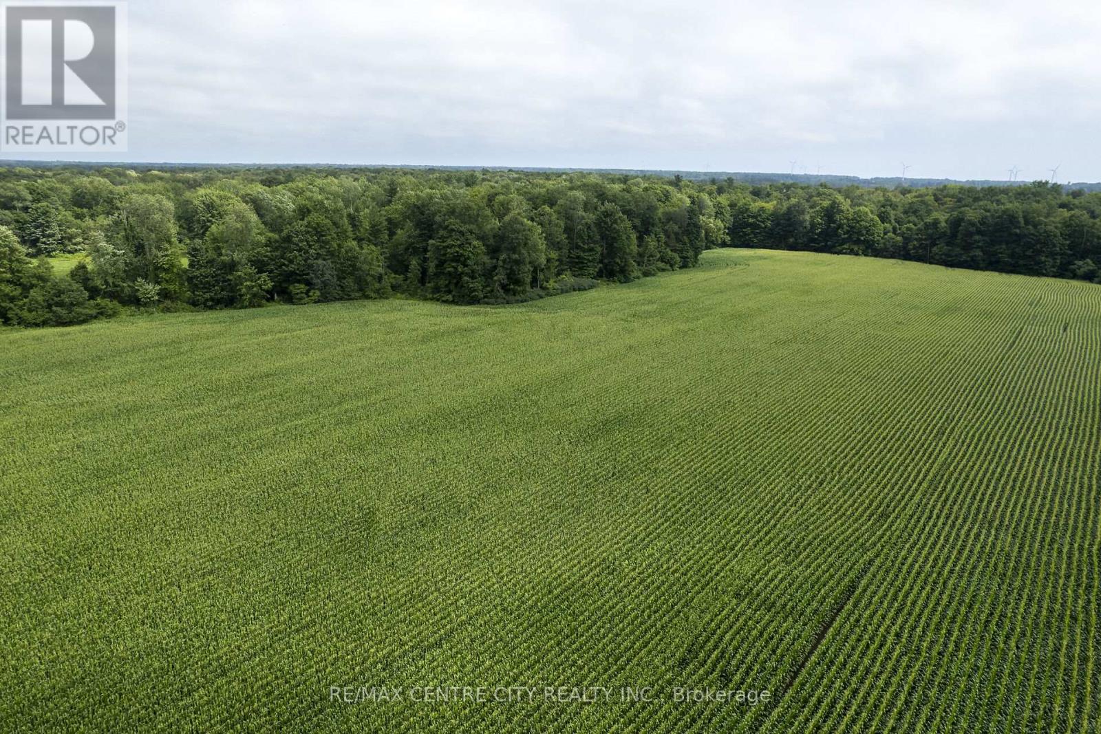 56813 Light Line, Bayham, Ontario  N0Z 1J0 - Photo 27 - X12006518