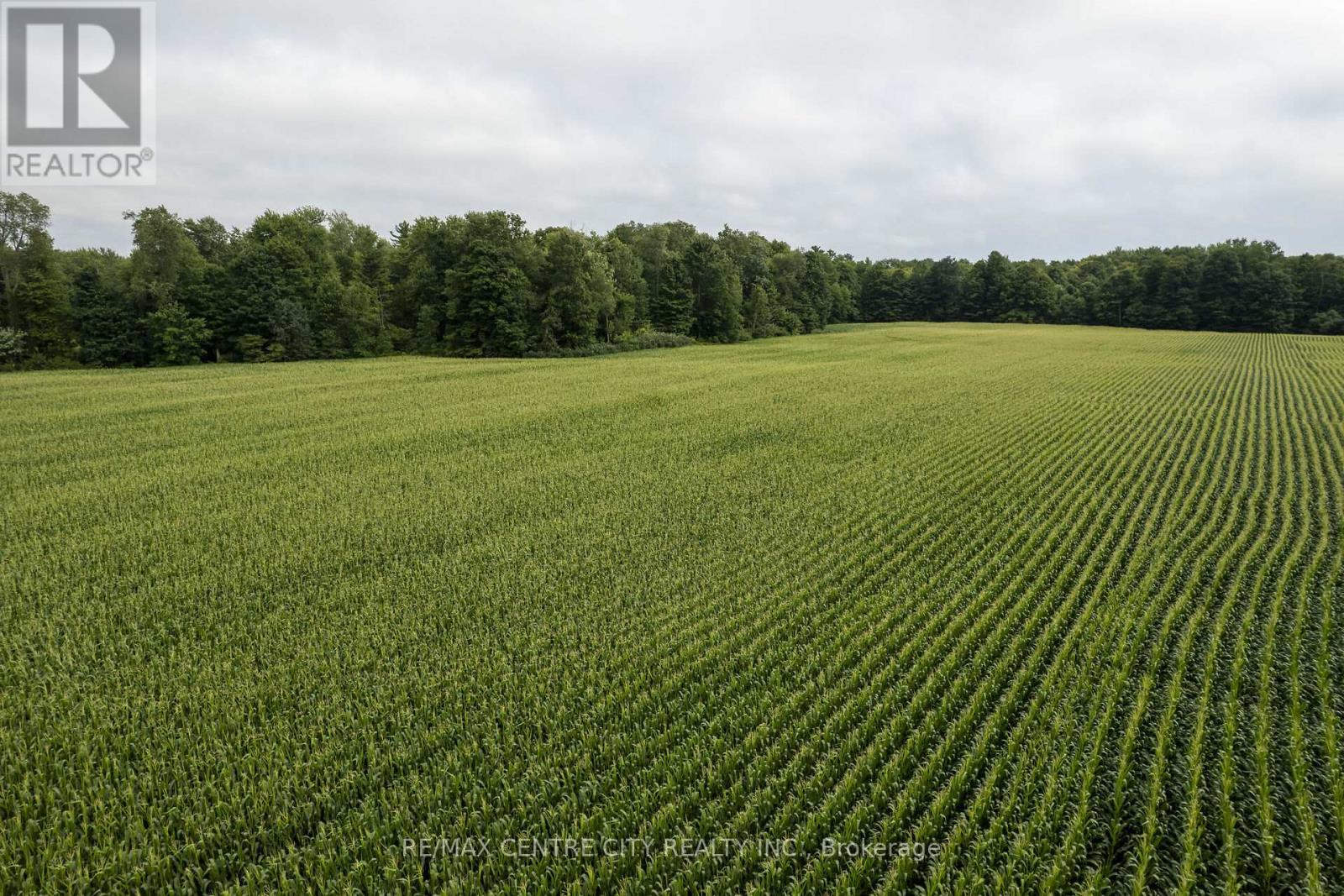 56813 Light Line, Bayham, Ontario  N0Z 1J0 - Photo 28 - X12006518
