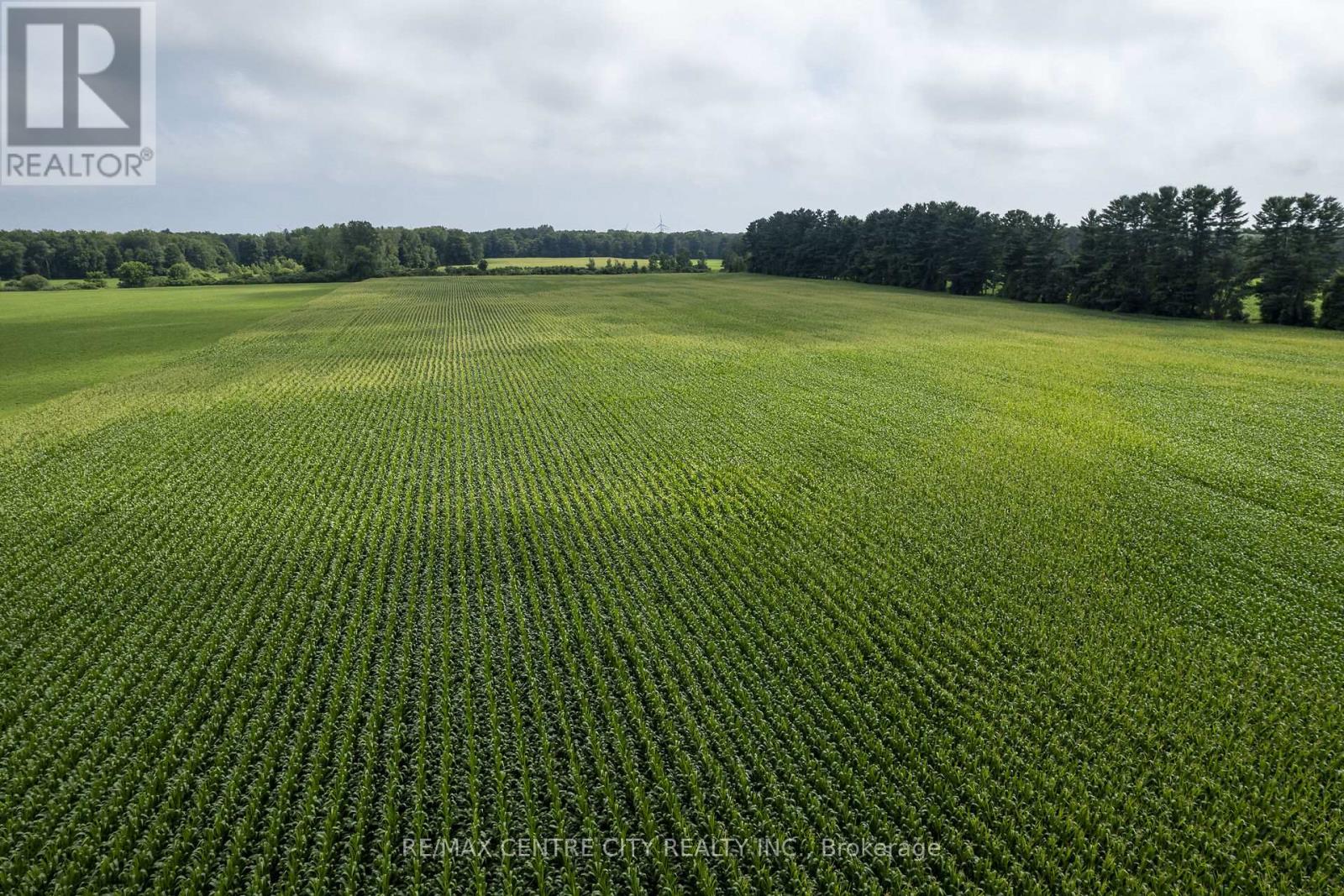 56813 Light Line, Bayham, Ontario  N0Z 1J0 - Photo 31 - X12006518