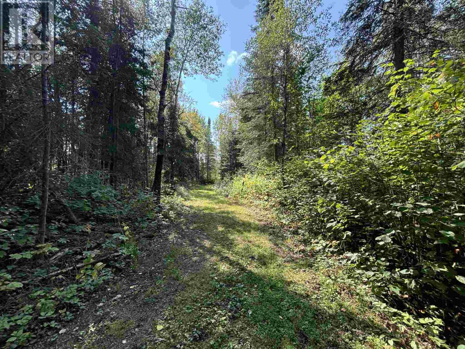 Lot 17,19,20 Lotw, Unorganized Kenora, Ontario  P0X 1C0 - Photo 10 - TB242824