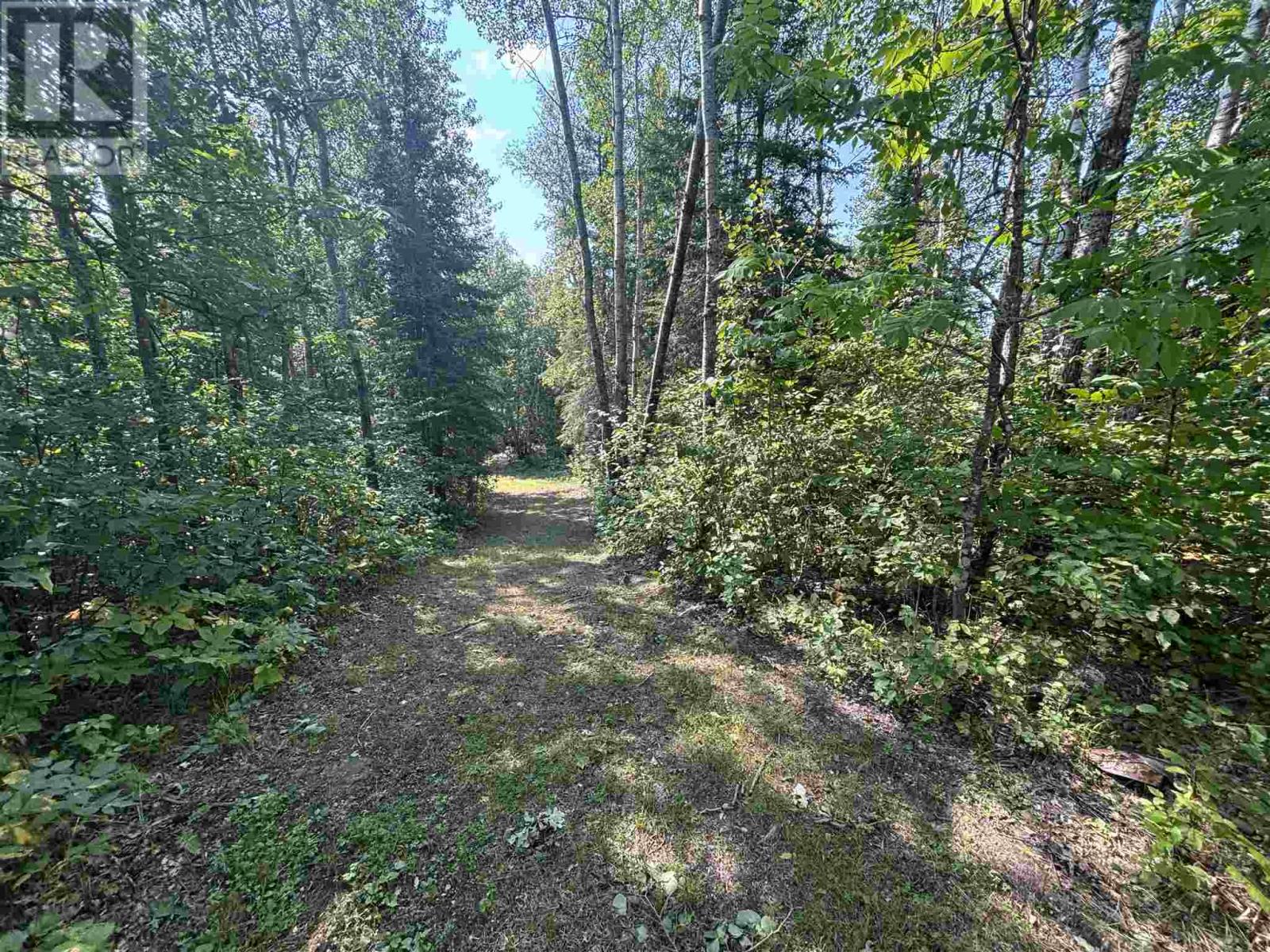 Lot 17,19,20 Lotw, Unorganized Kenora, Ontario  P0X 1C0 - Photo 7 - TB242824