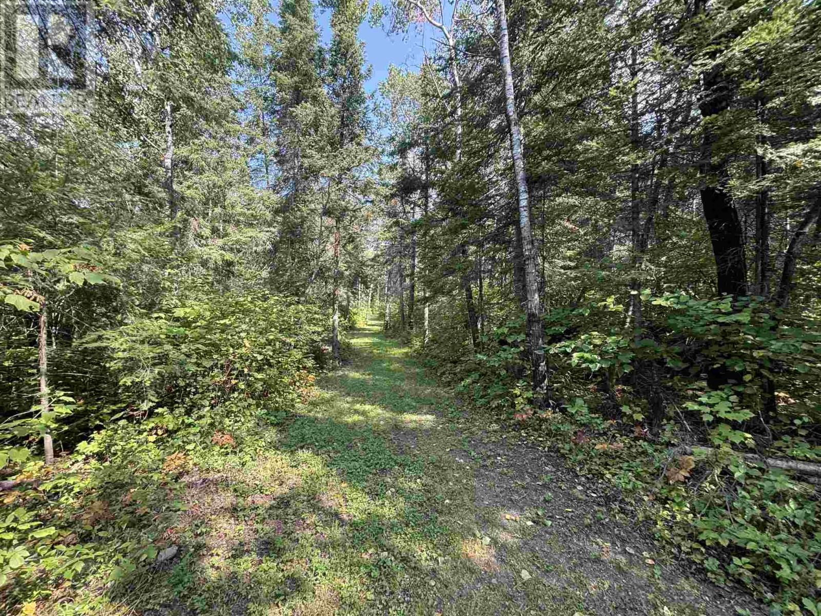 Lot 17,19,20 Lotw, Unorganized Kenora, Ontario  P0X 1C0 - Photo 9 - TB242824