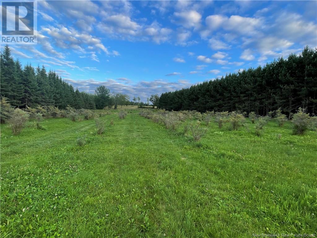 320 Red Bank Road, Chipman, New Brunswick  E4A 2B1 - Photo 50 - NB113641