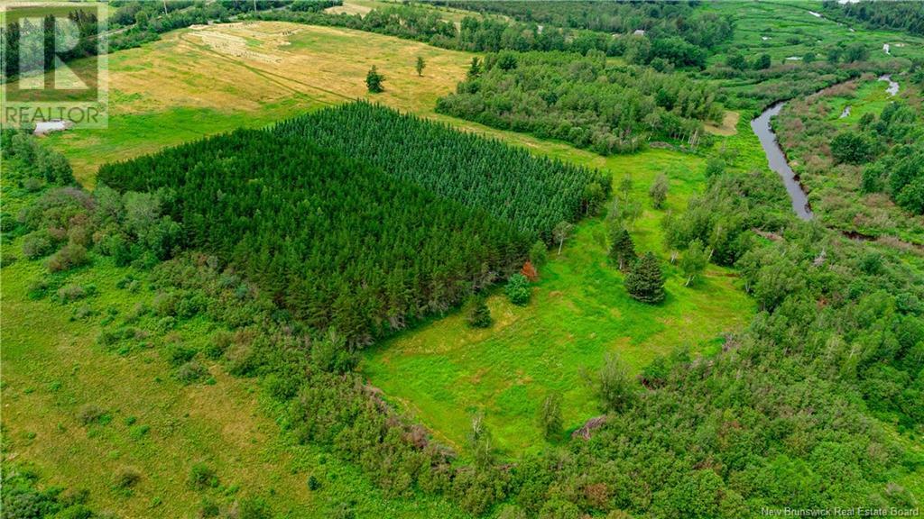 320 Red Bank Road, Chipman, New Brunswick  E4A 2B1 - Photo 8 - NB113638