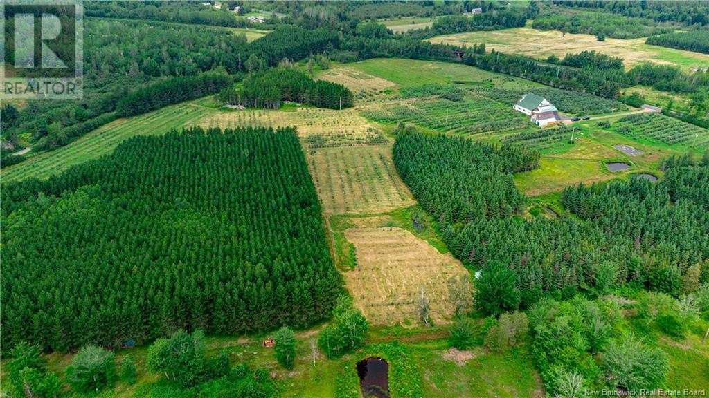 320 Red Bank Road, Chipman, New Brunswick  E4A 2B1 - Photo 4 - NB113637