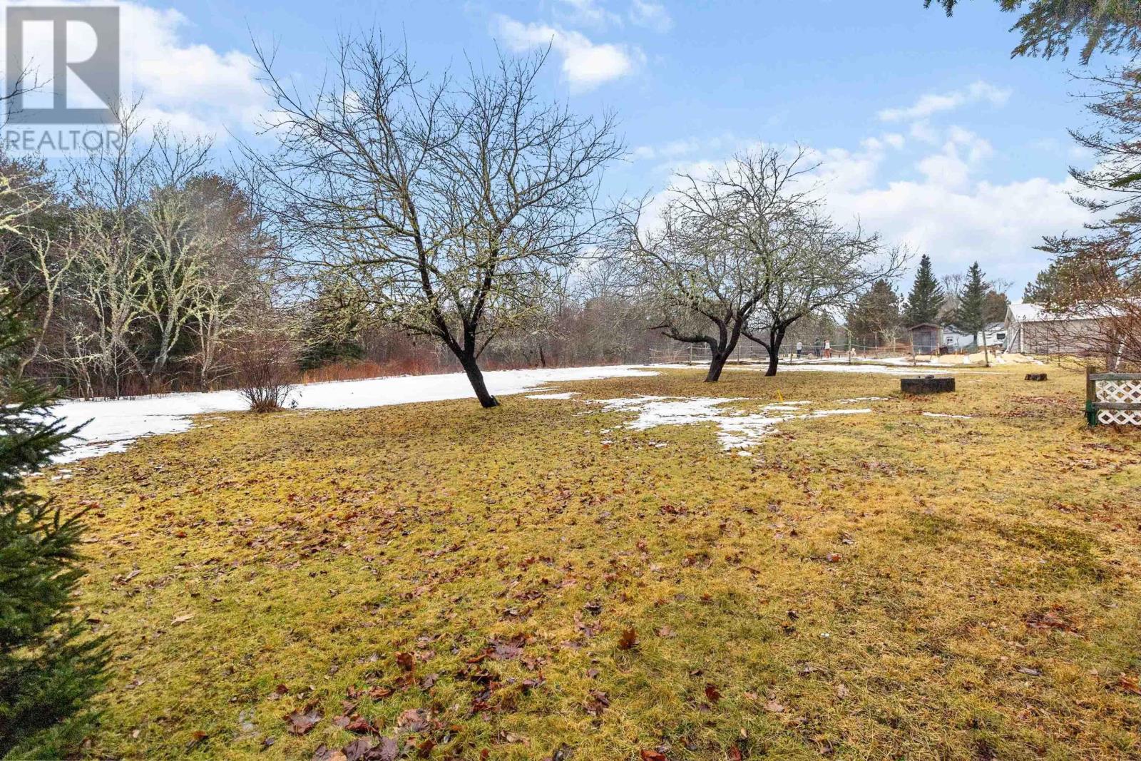 169 School Street, New Germany, Nova Scotia  B0R 1E0 - Photo 29 - 202504388