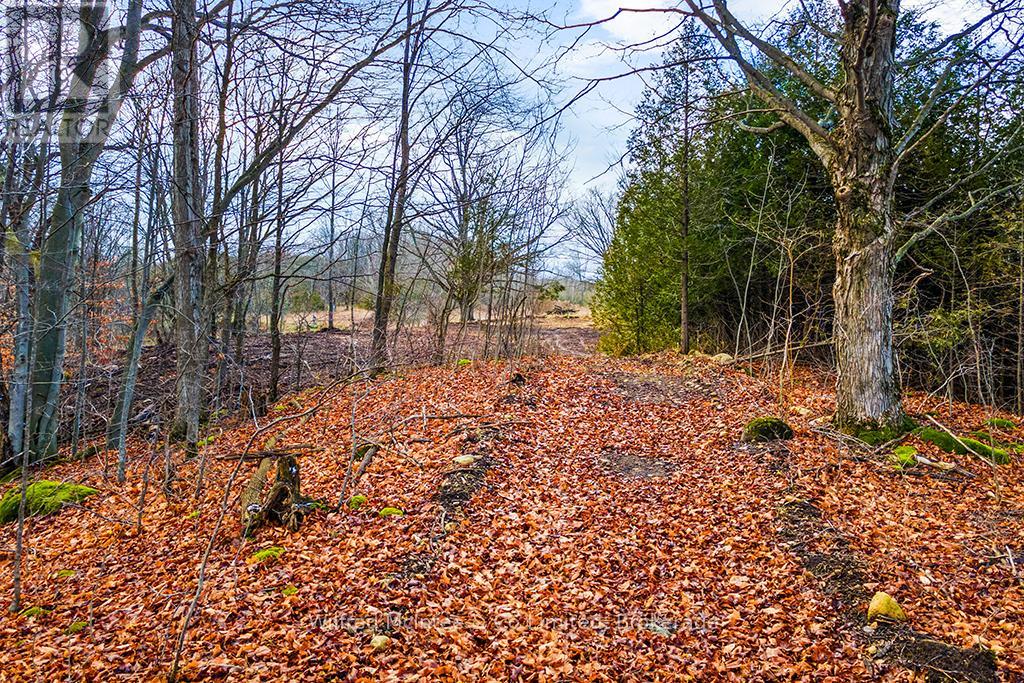 Ptlt 16; Part 2 16r6350 Sideroad 5, Chatsworth, Ontario  N0H 1G0 - Photo 14 - X12006834