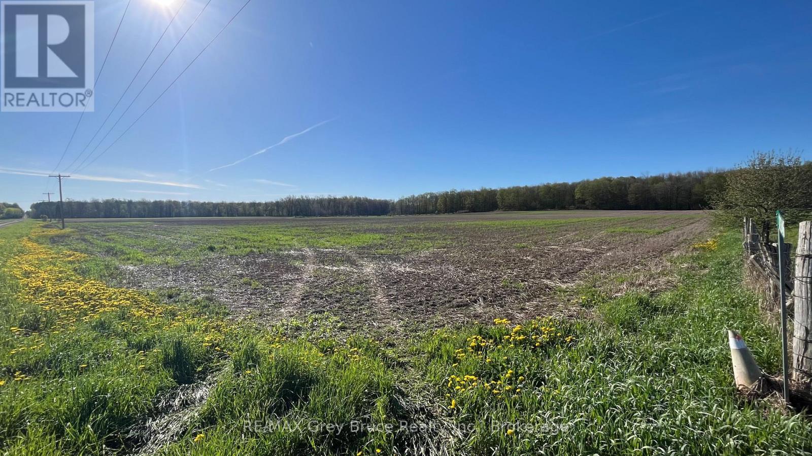 821346 Sideroad 1, Chatsworth, Ontario  N0H 1K0 - Photo 4 - X12006957