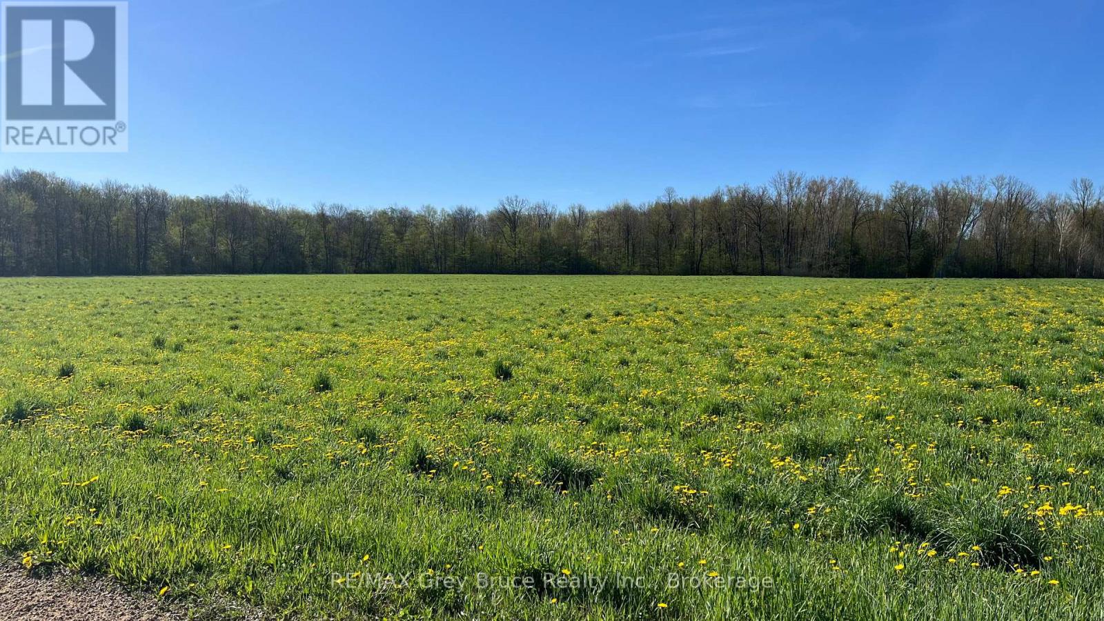 821346 Sideroad 1, Chatsworth, Ontario  N0H 1K0 - Photo 7 - X12006957