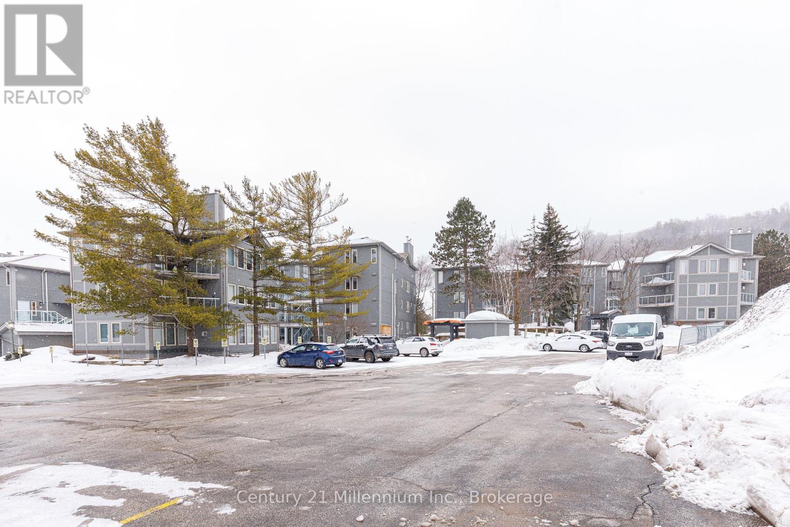 313 - 107 Ann Heggtveit Drive, Blue Mountains, Ontario  L9Y 0P7 - Photo 50 - X11994176