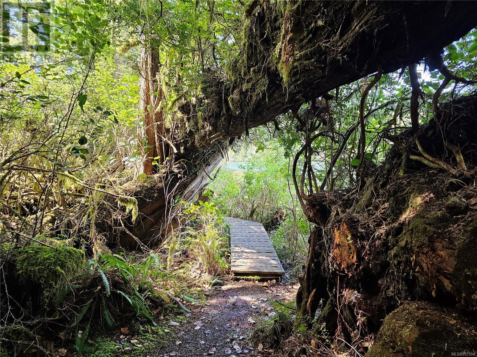 522 Burlo Island, Bamfield, British Columbia  V0R 1B0 - Photo 14 - 957504