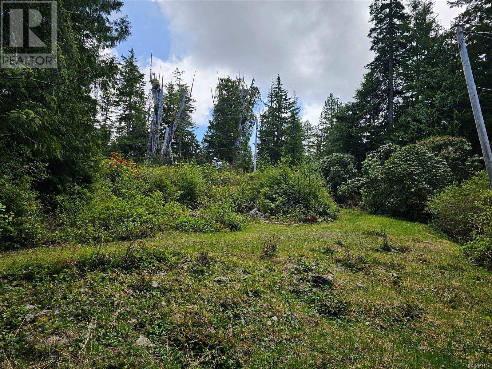 522 Burlo Island, Bamfield, British Columbia  V0R 1B0 - Photo 12 - 957504