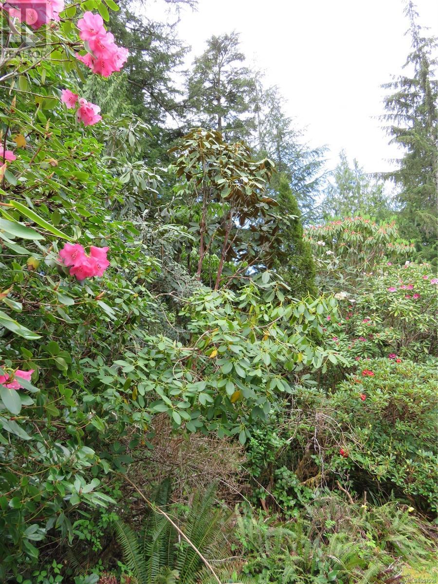 522 Burlo Island, Bamfield, British Columbia  V0R 1B0 - Photo 69 - 957504