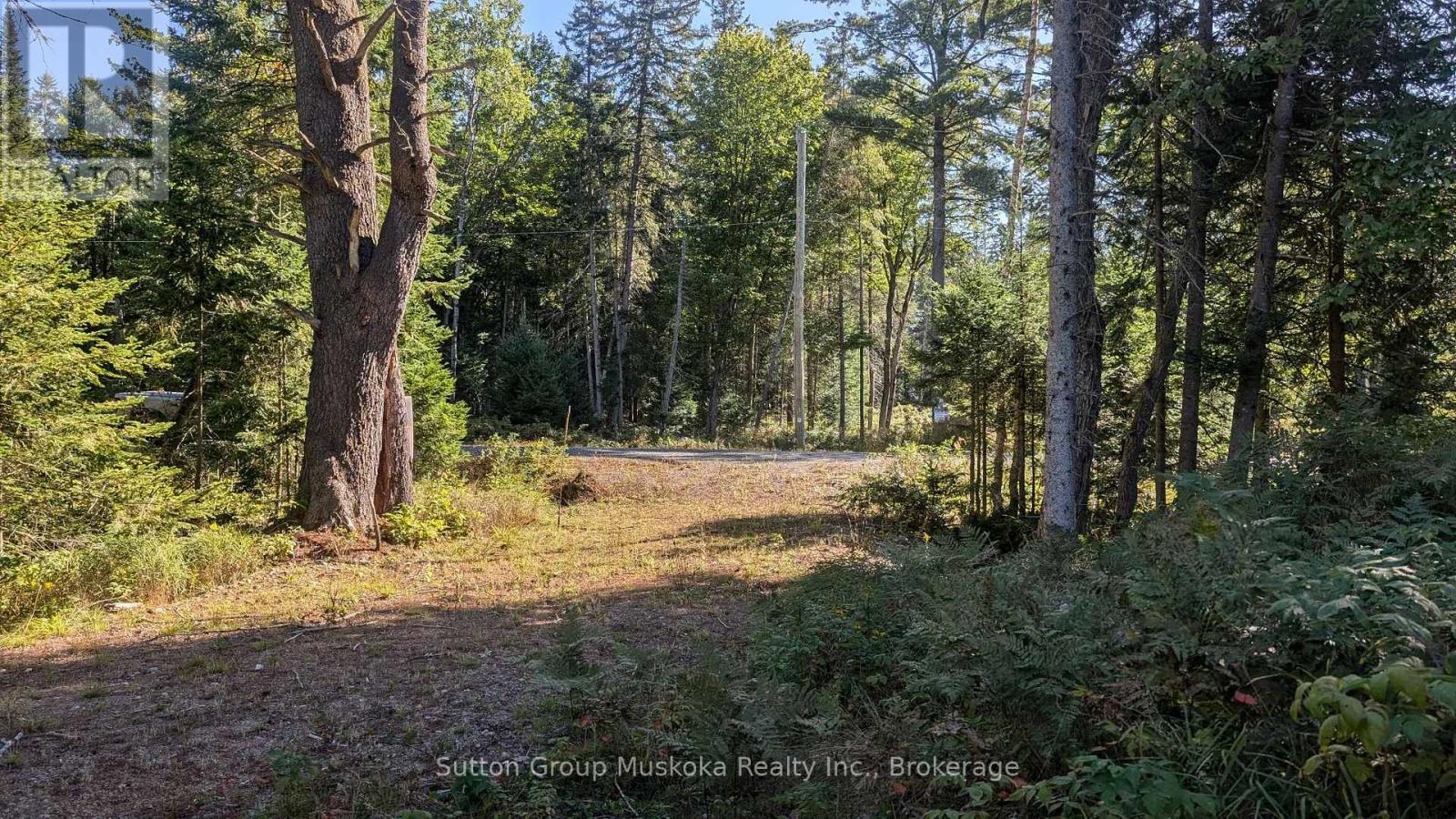 Lot 18 Crimson Lane, Huntsville, Ontario  P0B 1L0 - Photo 3 - X12007013