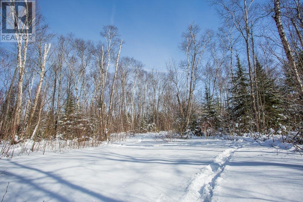 80 Lighthouse Point Dr, Thessalon, Ontario  P0R 1L0 - Photo 37 - SM250325