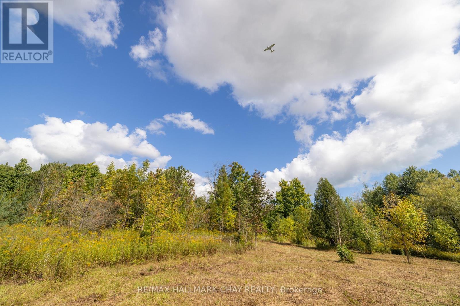 20 Line 8 Line, Oro-Medonte, Ontario  L0L 2E0 - Photo 11 - S12007210