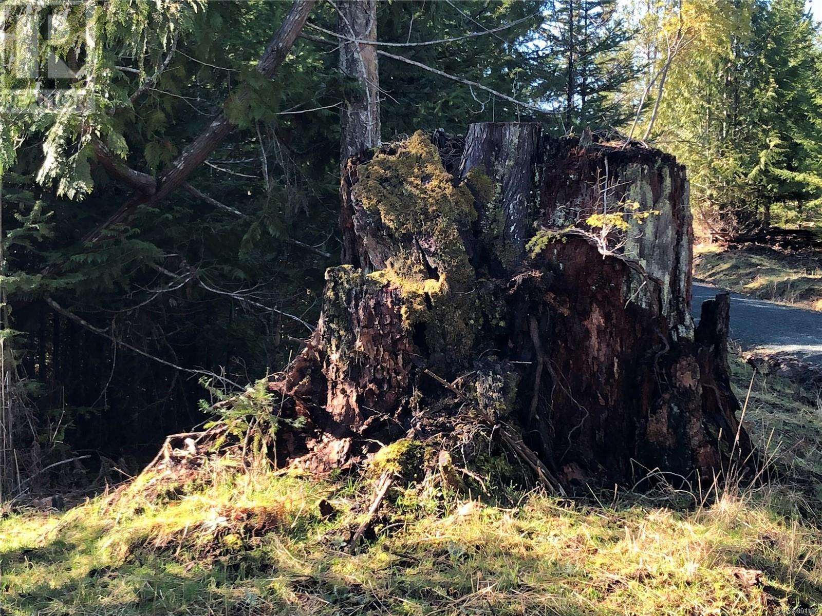 6750 Danes Rd, Denman Island, British Columbia  V0R 1T0 - Photo 7 - 991192