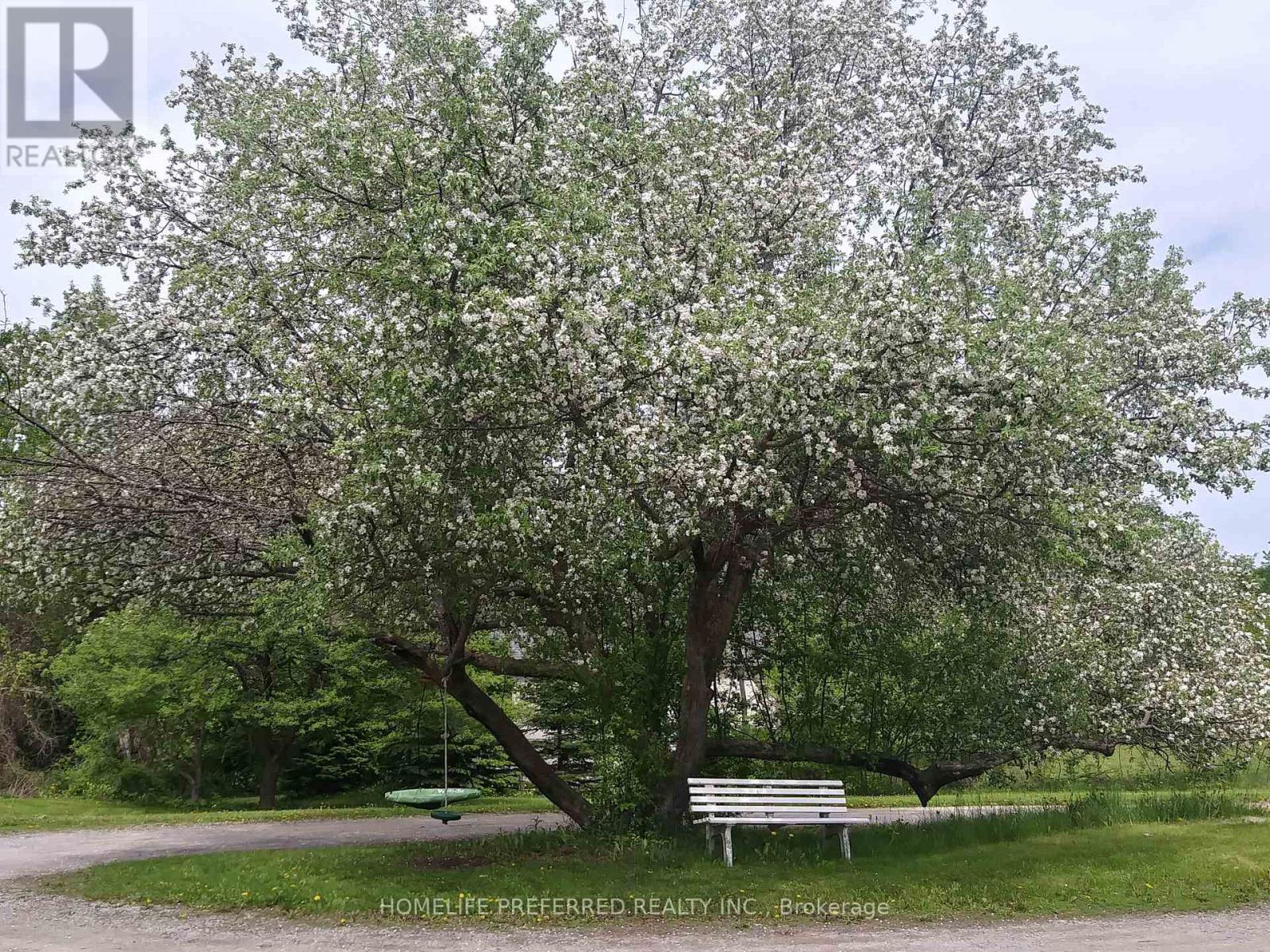 1966 Darling Crescent, Cavan Monaghan, Ontario  L0A 1C0 - Photo 41 - X12007386