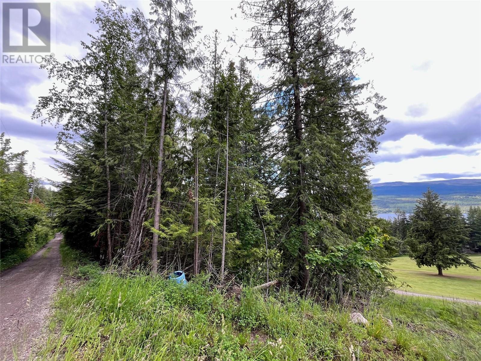 Lot 138 Columbia Drive Lot# 138, Anglemont, British Columbia  V0E 1M8 - Photo 2 - 10338061